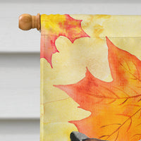 Red Tan Dachshund Fall Flag Canvas House Size BB9511CHF