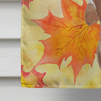 Red Tan Dachshund Fall Flag Canvas House Size BB9511CHF