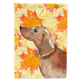 Red Tan Dachshund Fall Flag Canvas House Size BB9511CHF