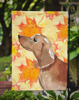 Red Tan Dachshund Fall Flag Garden Size BB9511GF