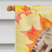 Brown Cockapoo Fall Flag Canvas House Size BB9514CHF