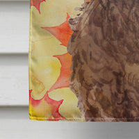 Brown Cockapoo Fall Flag Canvas House Size BB9514CHF