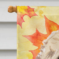 Champagne Cockapoo Fall Flag Canvas House Size BB9515CHF