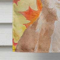 Chihuahua Fall Flag Canvas House Size BB9516CHF