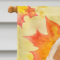 Yellow Labrador #2 Fall Flag Canvas House Size BB9528CHF