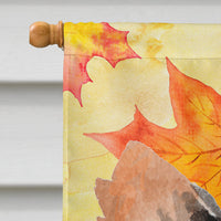 Long Haired Chihuahua Fall Flag Canvas House Size BB9529CHF