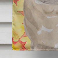 Fawn Pug Fall Flag Canvas House Size BB9531CHF