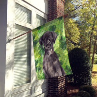 Black Labrador St. Patrick's Flag Canvas House Size BB9538CHF