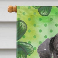 Black Labrador St. Patrick's Flag Canvas House Size BB9538CHF