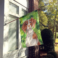 Brittany Spaniel St. Patrick's Flag Canvas House Size BB9539CHF