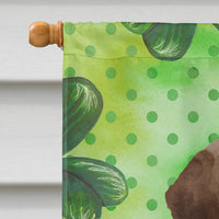 Chocolate Labrador St. Patrick's Flag Canvas House Size BB9540CHF