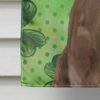 Chocolate Labrador St. Patrick's Flag Canvas House Size BB9540CHF