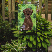 Chocolate Labrador St. Patrick's Flag Garden Size BB9540GF