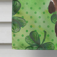 Black and Tan Dachshund St. Patrick's Flag Canvas House Size BB9545CHF