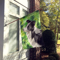 Border Collie St. Patrick's Flag Canvas House Size BB9548CHF