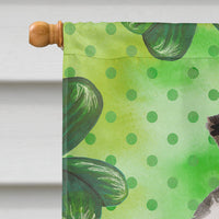 Border Collie St. Patrick's Flag Canvas House Size BB9548CHF