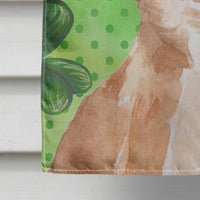 Chihuahua St. Patrick's Flag Canvas House Size BB9551CHF