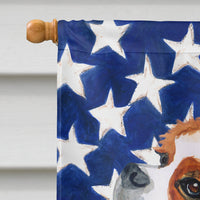 Cavalier Spaniel Patriotic Flag Canvas House Size BB9663CHF