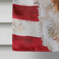 Cavalier Spaniel Patriotic Flag Canvas House Size BB9663CHF