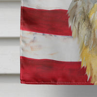 Brussels Griffon Patriotic Flag Canvas House Size BB9687CHF