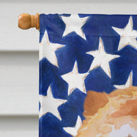 Cane Corso Patriotic Flag Canvas House Size BB9695CHF