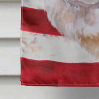 Cane Corso Patriotic Flag Canvas House Size BB9695CHF