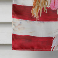 Afghan Hound Patriotic Flag Canvas House Size BB9702CHF