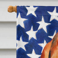 Basset Hound Patriotic Flag Canvas House Size BB9704CHF