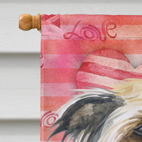 Chinese Crested Love Flag Canvas House Size BB9746CHF