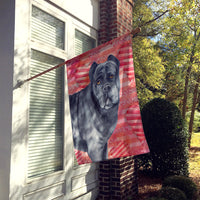 Cane Corso Love Flag Canvas House Size BB9781CHF