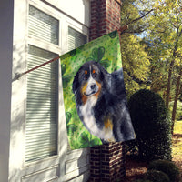 Bernese Mountain Dog St Patrick's Flag Canvas House Size BB9819CHF