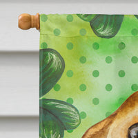 Chihuahua St Patrick's Flag Canvas House Size BB9832CHF