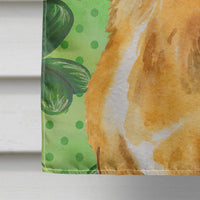 Chihuahua St Patrick's Flag Canvas House Size BB9832CHF