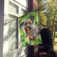 Chinese Crested St Patrick's Flag Canvas House Size BB9833CHF