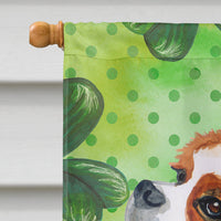 Cavalier Spaniel St Patrick's Flag Canvas House Size BB9837CHF