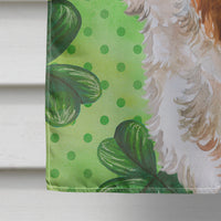 Cavalier Spaniel St Patrick's Flag Canvas House Size BB9837CHF