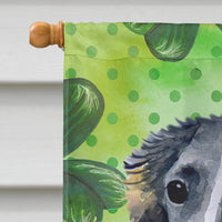 Borzoi St Patrick's Flag Canvas House Size BB9846CHF