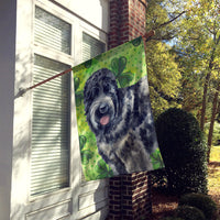 Black Russian Terrier St Patrick's Flag Canvas House Size BB9851CHF