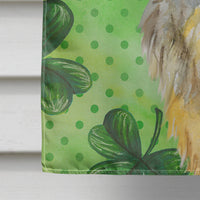 Brussels Griffon St Patrick's Flag Canvas House Size BB9861CHF