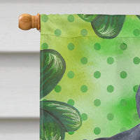 Cane Corso St Patrick's Flag Canvas House Size BB9868CHF