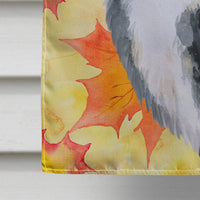 Bernese Mountain Dog Fall Flag Canvas House Size BB9906CHF