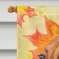 Dachshund Fall Flag Canvas House Size BB9913CHF