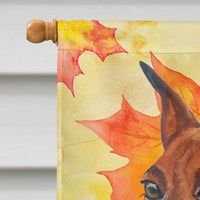 Miniature Pinscher Fall Flag Canvas House Size BB9917CHF