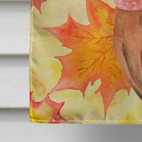 Miniature Pinscher Fall Flag Canvas House Size BB9917CHF