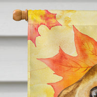 Chihuahua Fall Flag Canvas House Size BB9919CHF