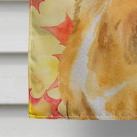 Chihuahua Fall Flag Canvas House Size BB9919CHF