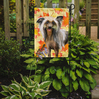 Chinese Crested Fall Flag Garden Size BB9920GF