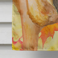 Shar Pei Fall Flag Canvas House Size BB9922CHF