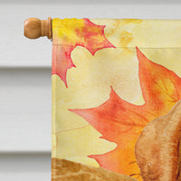 Golden Retriever Fall Flag Canvas House Size BB9925CHF