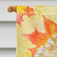 Morkie Fall Flag Canvas House Size BB9929CHF